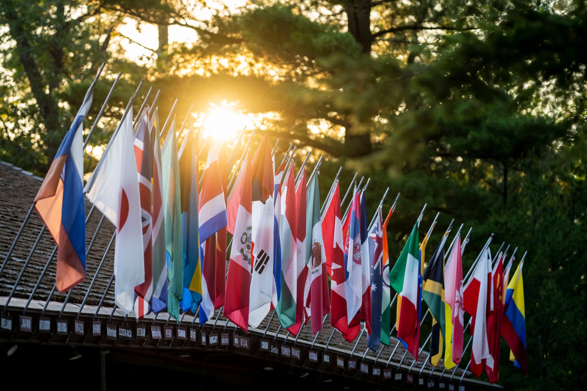 A series of international flags on a rooftop