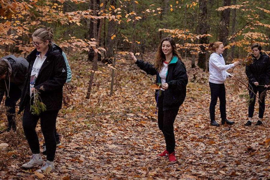 Students search for materials in the woods.