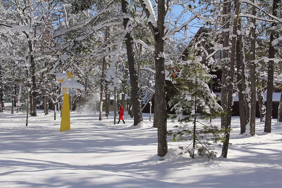 A woman in a red coat walks across a snowy, forested area