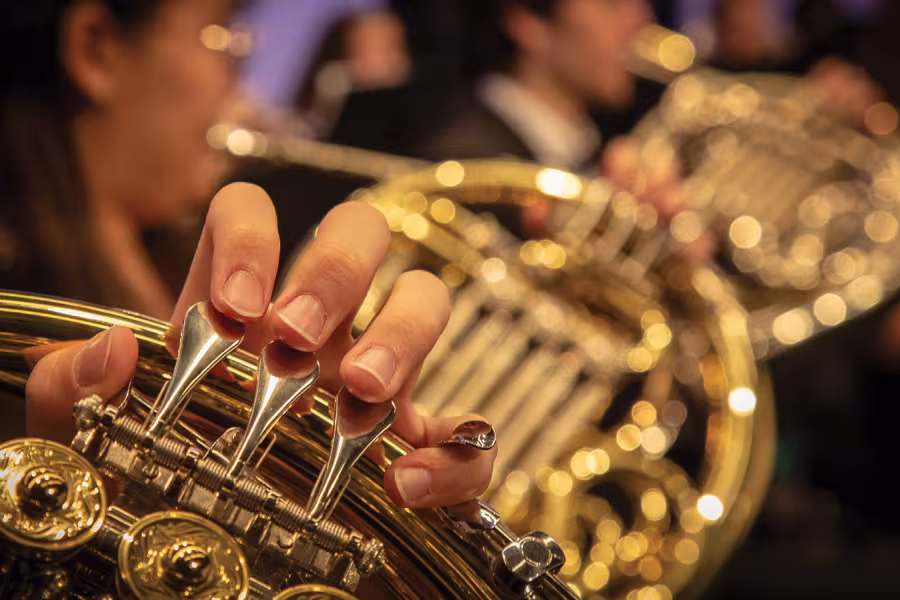 Close-up of fingers on horn valves