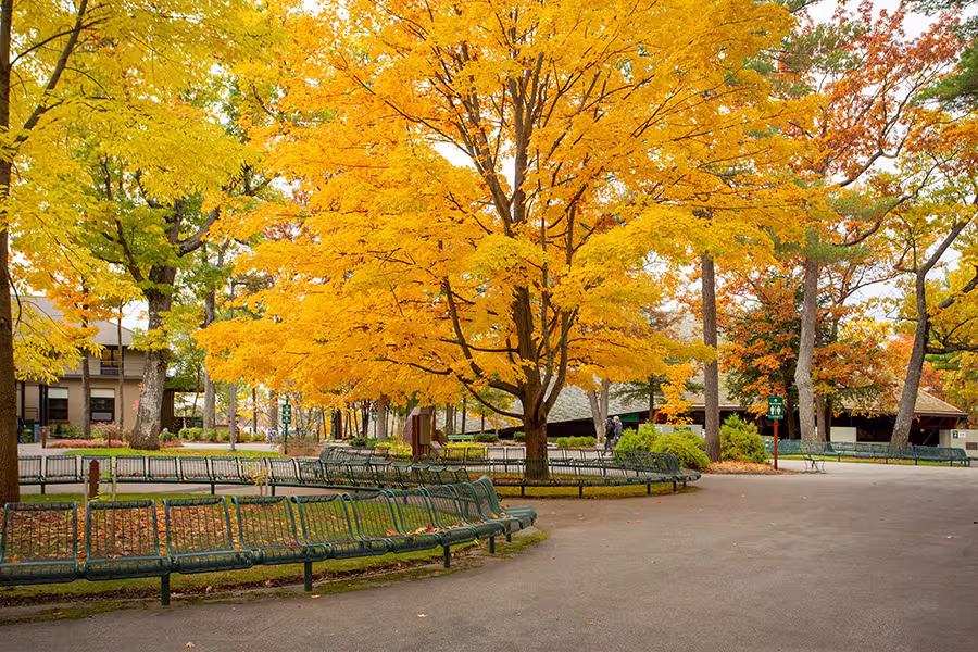 The Interlochen campus on a beautiful fall day