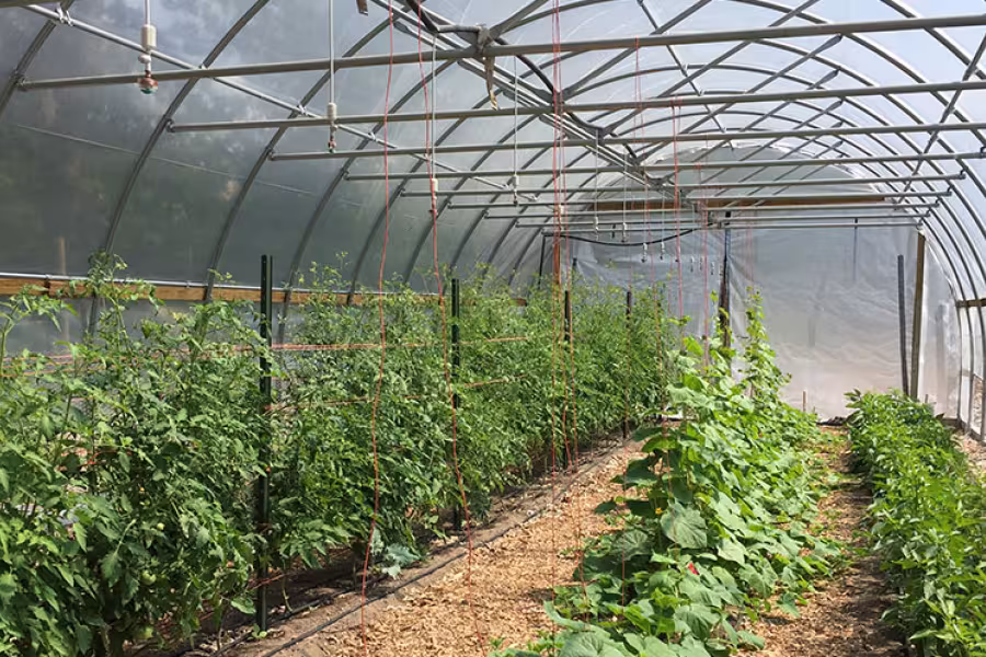 One of the garden’s three hoop houses