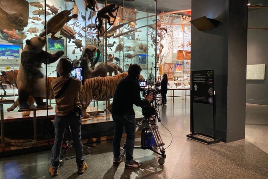 Starbucks' Coffee Break-away campaign at the American Museum of Natural History