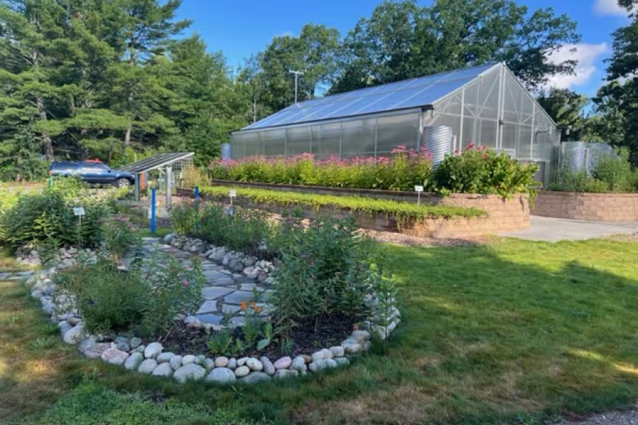 Milkweed garden at Interlochen Center for the Arts