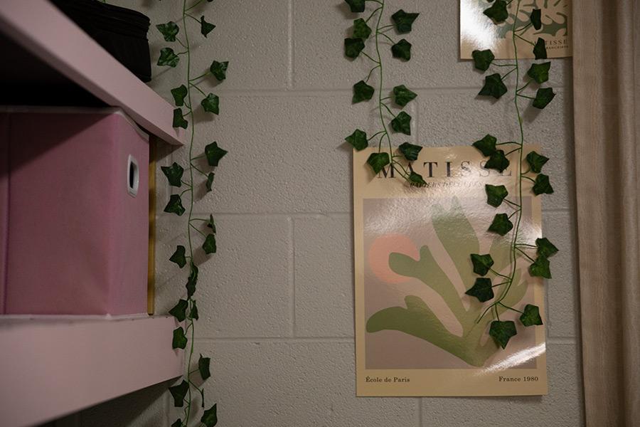 Posters and vines hang on a residence hall wall next to a pink tote