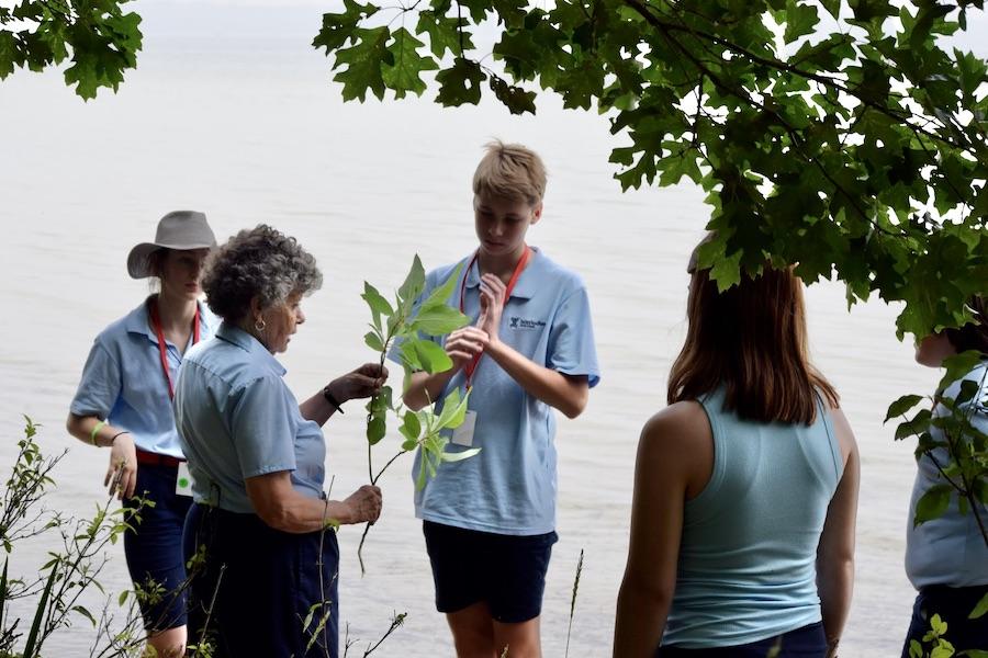 Students and an instructor study a leafy tree branch in front of the lake.