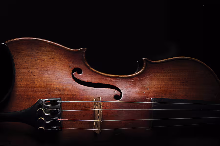 a close up of a string intsrument