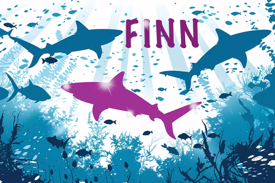 Finn Musical Artwork