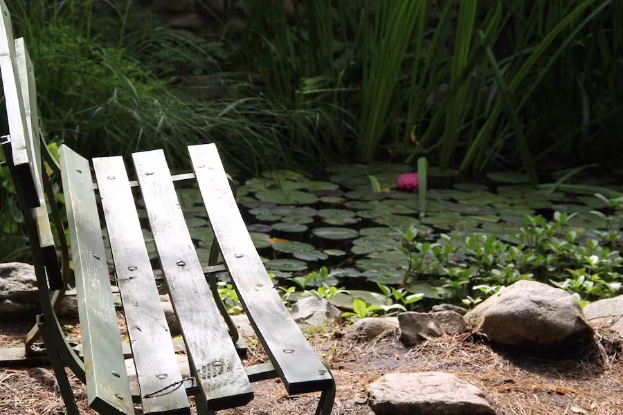 Bench in Garden