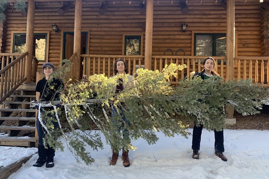 Three smiling people hold an evergreen tree in front of a log cabin.