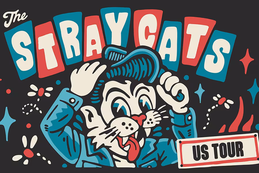 Illustrated tour poster featuring a cartoon cat styled like a rockabilly character, combing its hair with one hand while smiling energetically. Bold retro lettering spells out The Stray Cats in teal, red, and cream block letters across the top. Colorful starbursts and graphic accents surround the character. A small sign in the bottom right corner reads “US Tour.”