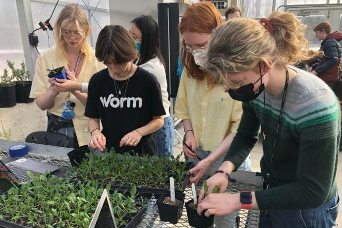 Interlochen students working on a hands-on cultivation project