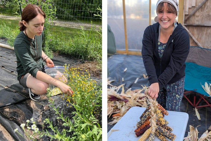 A student kneels to work with a plant. A smiling farmer holds braided ears of corn.