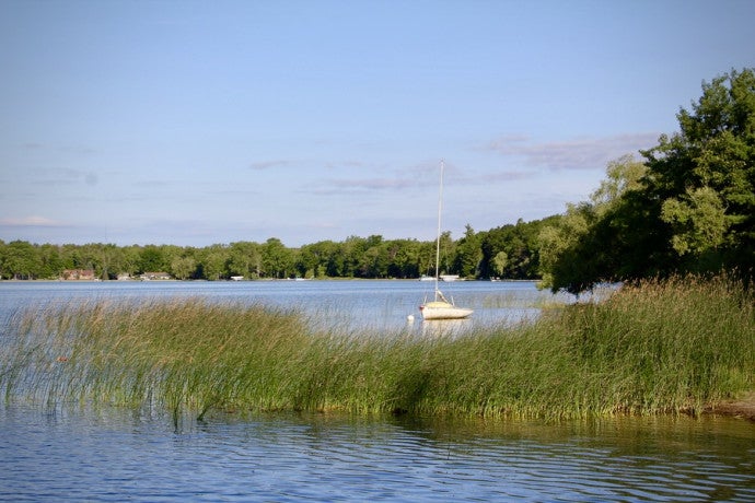 Shot of the lake with green grass, trees, and a boat in the distance