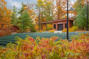 An outdoor amphitheater ablaze with fall color