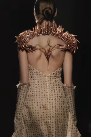 A model is shown from behind, wearing a dress with Japanese characters collared with brown crystals.