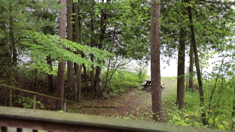 Greenleaf Cabin pathway