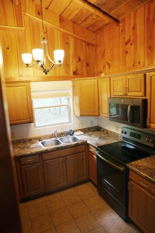 Greenleaf Cabin kitchen