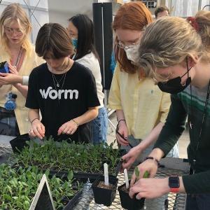 Interlochen students working on a hands-on cultivation project