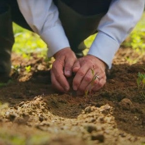 A man scoops up a handful of earth.