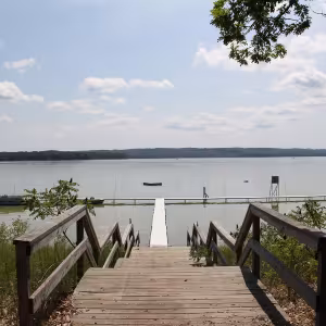 Beautiful image of wooden steps leading down to a lake under a sunny sky.