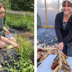 A student kneels to work with a plant. A smiling farmer holds braided ears of corn.