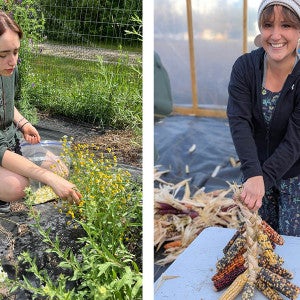 A student kneels to work with a plant. A smiling farmer holds braided ears of corn.