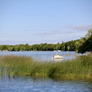 Shot of the lake with green grass, trees, and a boat in the distance