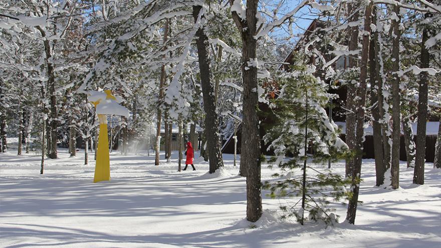 A woman in a red coat walks across a snowy, forested area